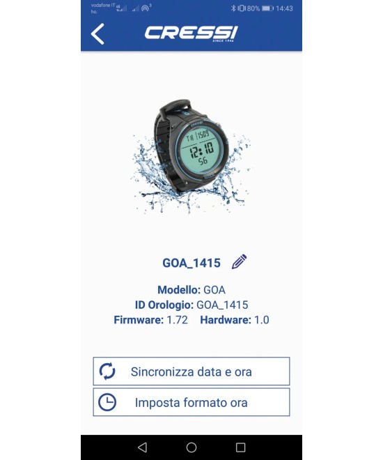 Interface Bluetooth Big Screen