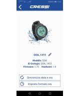 Interface Bluetooth Big Screen