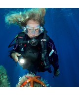 Gilet stabilisateur Seac SMART – GAV traditionnel compact avec lest largable